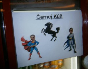 cernej kun