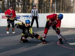 Pawel vs. Třebíz